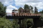 Mapuche bridge