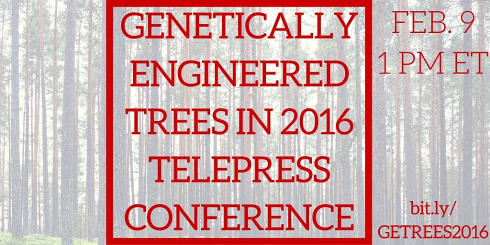 GENETICALLY ENGINEERED TREES IN 2016 (3)