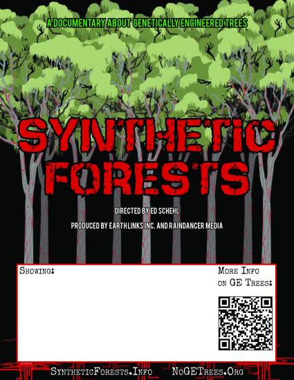 synth forests 8X10 j