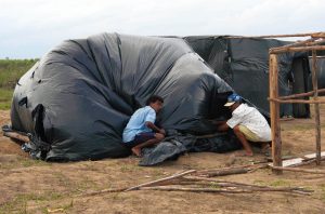 Indigenous men erecting an emblematic black plastic tent from the Brazil Landless Workers Movement (Movimento dos Trabalhadores Rurais Sem Terra, known as MST) encampment