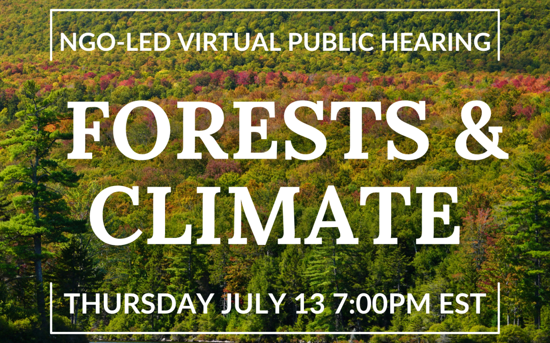 Take Action TODAY! July 13, 2023 Virtual Hearing to protect Mature and Old-Growth Forests in Eastern USA!