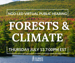 Lush green forest overlooking a lake with text overlay announcing NGO-led public hearing, forests and climate, Thursday July 13 at 7:00 PM EST.