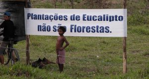 A young Brazilian child with a furrowed brow stands in front of a white banner that reads plantaçoes de eucalipto nao sao florestas, meaning eucalyptus plantations are not forests