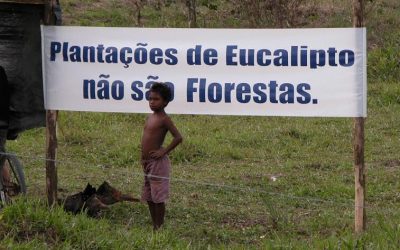 Brazil Groups Denounce Industrial Forestry on Opening Day of IUFRO World Congress