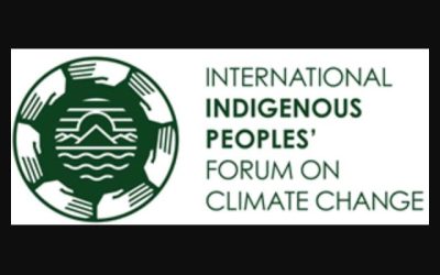 COP27 False Solutions Roundly Rejected by International Indigenous Peoples’ Forum on Climate Change