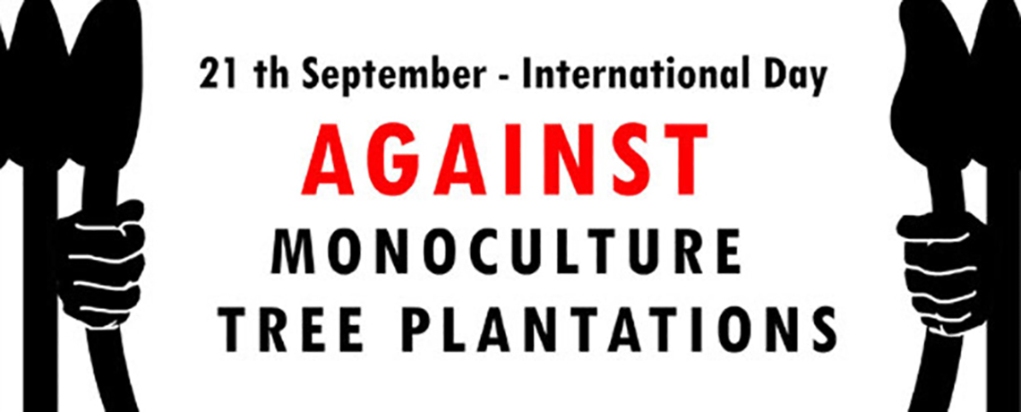 SIGN ON: Stop Monoculture Tree Plantations Expansion in Mozambique