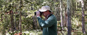 Orin wearing a green long-sleeve and tan bucket hat stands in a forest of Spanish-moss covered pine trees, using binoculars to look into the distance
