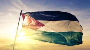 A close up of the flag of Palestine