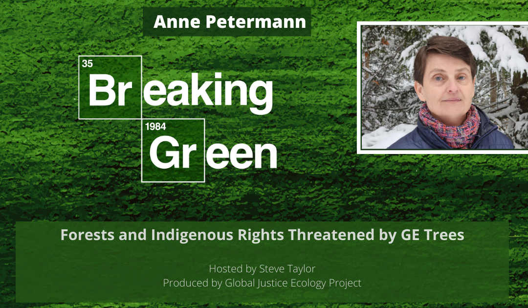 GE Trees Threaten Forests and Indigenous People’s Rights with Anne Petermann