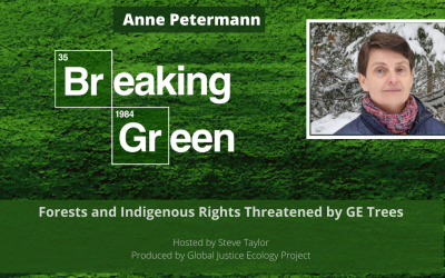 GE Trees Threaten Forests and Indigenous People’s Rights with Anne Petermann
