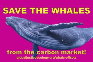 SAVE THE WHALES… from the carbon market!