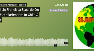 Earth Watch: Francisca Stuardo On Land & Water Defenders In Chile & Honduras