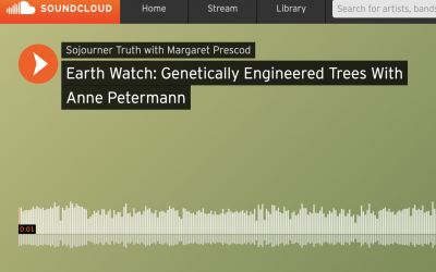 Earth Watch: Climate Crisis Driving Fake Techno-Fixes like Genetically Engineered Trees