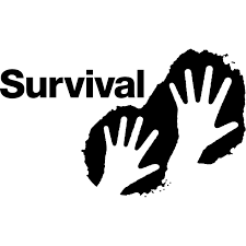Survival International: Kenya’s Borana people denounce “skullduggery” over carbon credit scheme used by Netflix and Meta