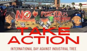 A protest sign reads, ‘No Forestales Incendios’ with text overlay saying take action, International Day Against Industrial Tree.