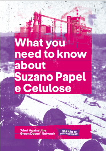 Pink and purple graphic depicting industrial buildings with the words “What you need to know about Suzano Papel e Celulose” and “Alert Against the Green Desert Network”
