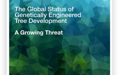New Global Report on Status of GE Trees and Risks Posed Released Today