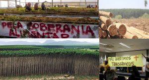 Four images in one. Several people standing between rows of plants, several logged trees in a pile, the edge of a large plantation with a bulldozer, and a yellow sign that reads, “Não queremos transgênicos", meaning we don't want G.M.O.s