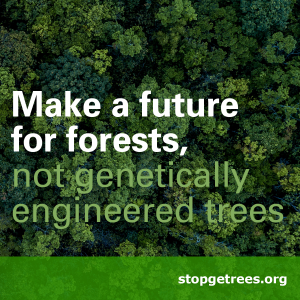 A lush green forest serves as an overlay with text that reads, “Make a future for forests, not genetically engineered trees.”