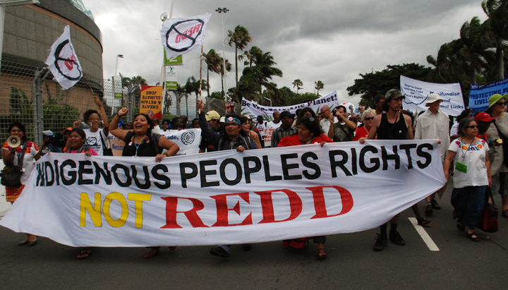 REDD, green economy and false solutions to the climate chaos – April 12, 2022