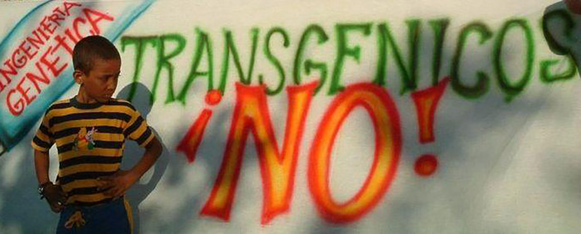 Grassroots Movement has Monsanto Abandoning Project in Argentina