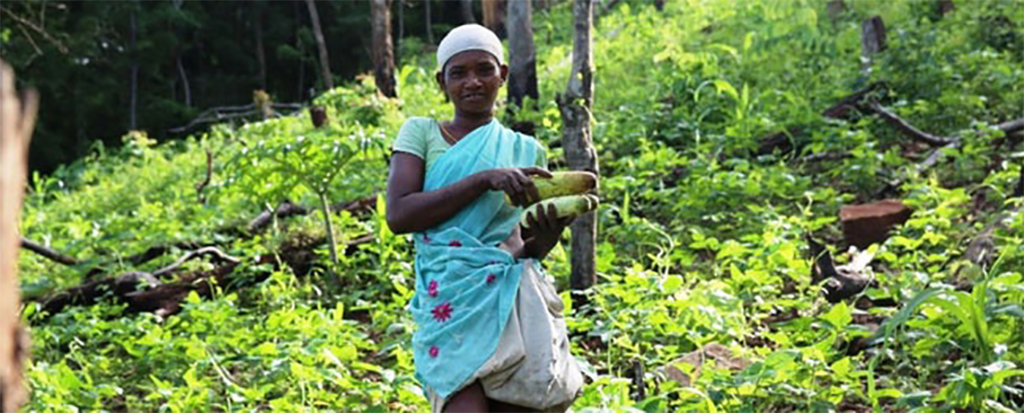 They Lost Their Jungles to Plantations, But These Indigenous Women Grew Them Back